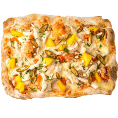 Пінса Тайська